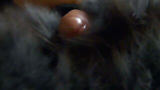 بي بي سي سوبر ستار الغش يدمر كس وايتجيرل الصغير اللطيف سكس محارم اجنبي وعربي